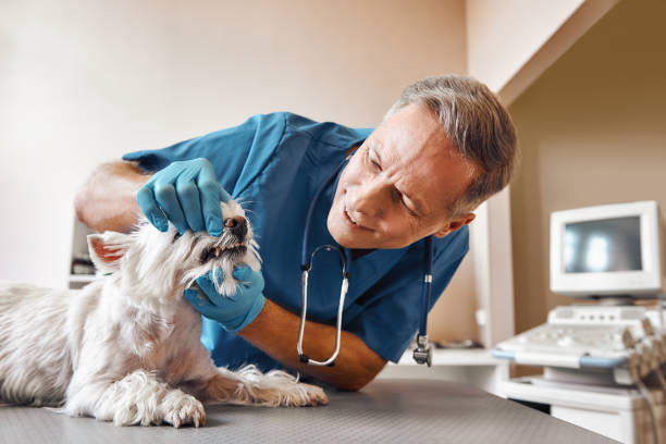 Best Emergency Dental Extractions in Wilburton, OK