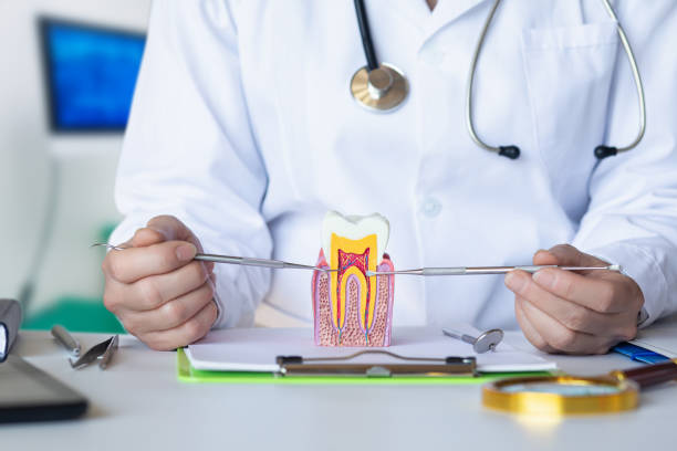 Best Urgent Dental Care for Toothache in Wilburton, OK